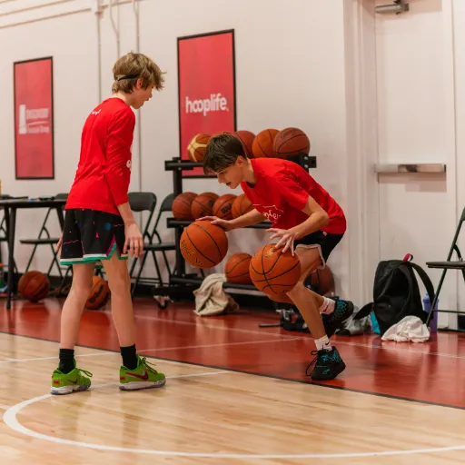HoopLife Elite Image