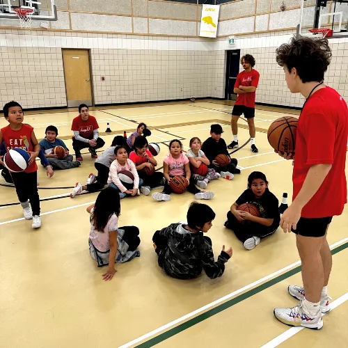 HoopLife Nations Image