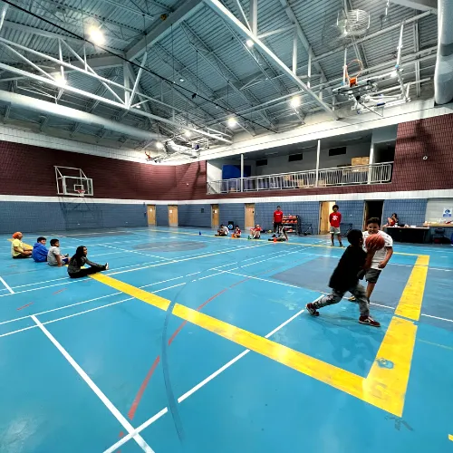 HoopLife Nations Image