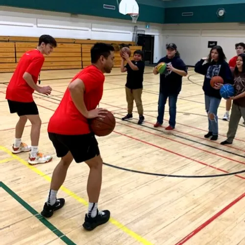 HoopLife Nations Image