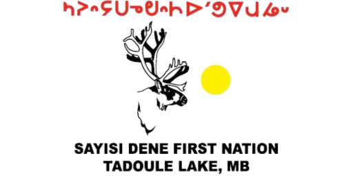 Sayisi Dene