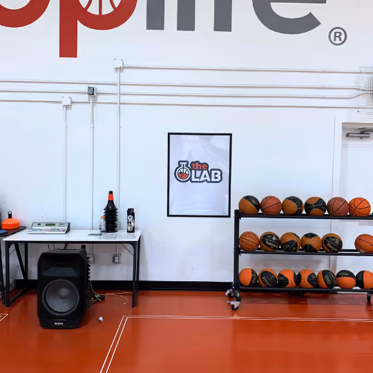 HoopLife the Lab Poster