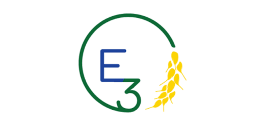 E3 Chiropractic and Wellness
